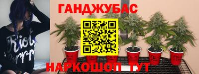 метадон Будённовск