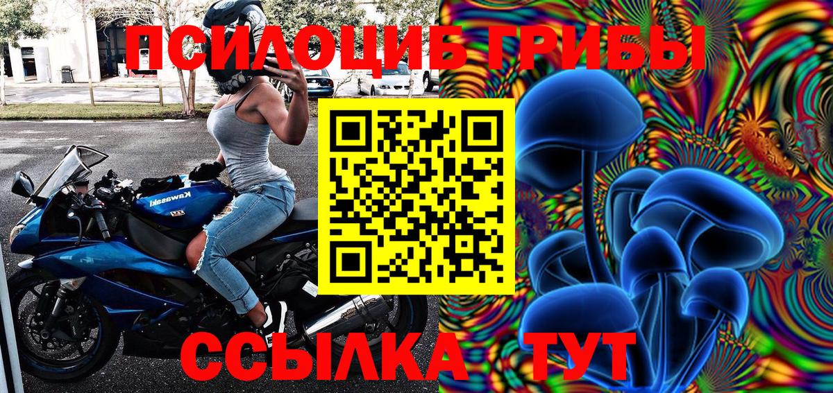 Галлюциногенные грибы Magic Shrooms Светлоград