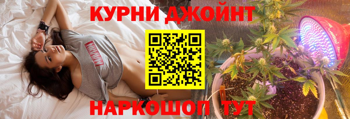 МАРИХУАНА план Светлоград